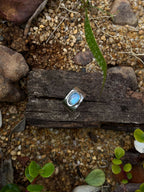 MOONSTONE - ANOMAL jewelry